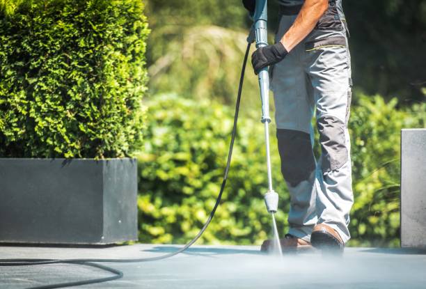 Best Dumpster Area Cleaning  in Bay Hill, FL
