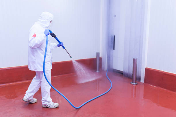 Best Rust Removal  in Bay Hill, FL