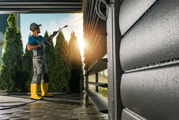 Best Solar Panel Cleaning  in Bay Hill, FL